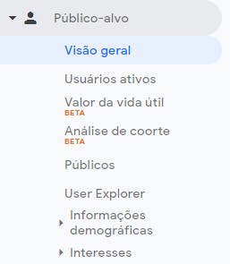 Google Analytics_público-alvo