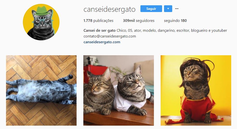 fotos para instagram: imagem do instagram do Cansei de ser gato