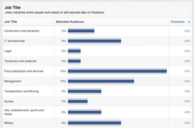 Facebook Audience Insights - job title