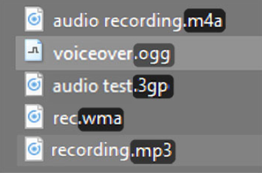 Examples of audio file extensions