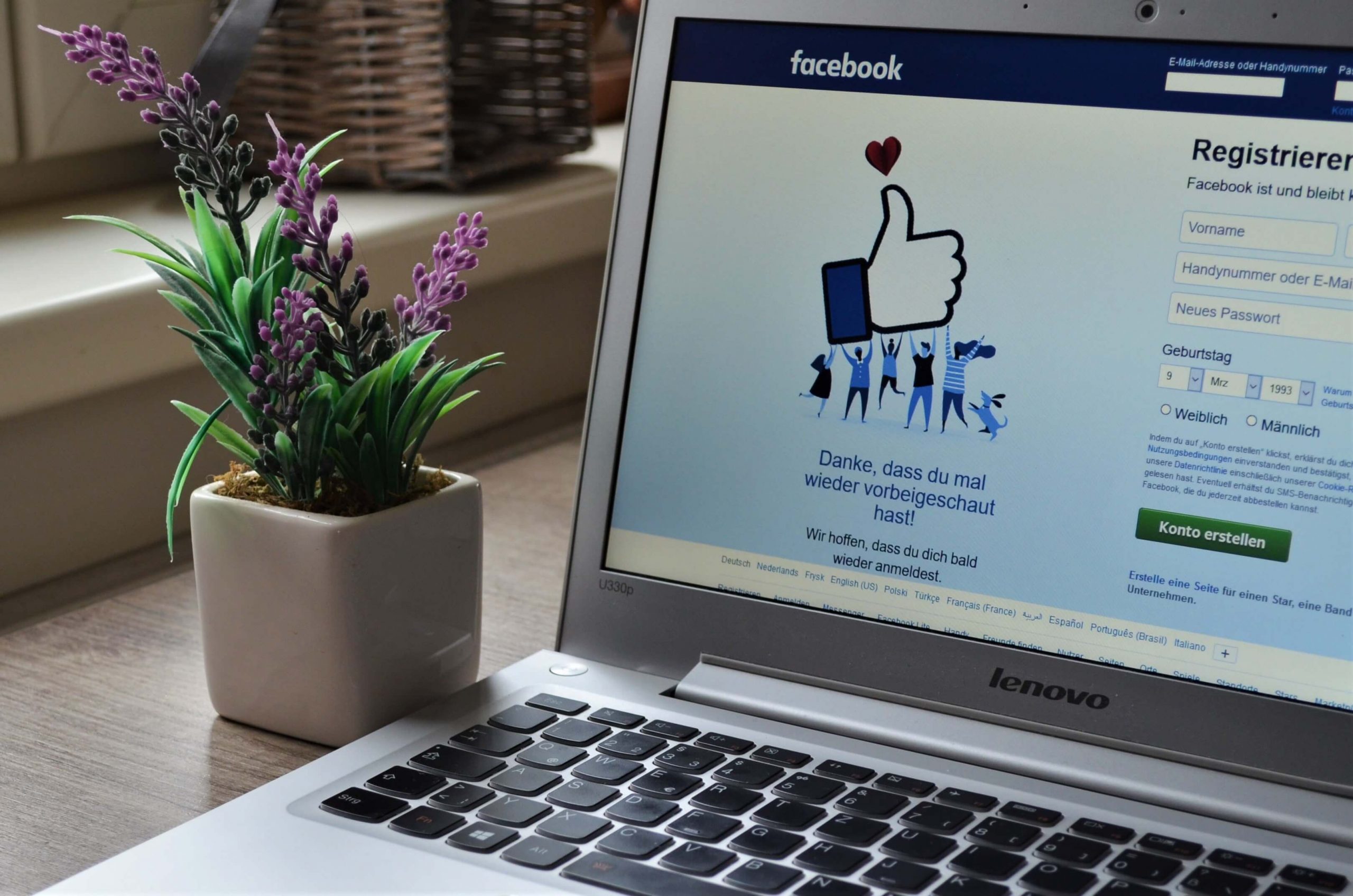 Imagen de una notebook con la página de Facebook abierta, a su costado una pequeña maceta con una planta.