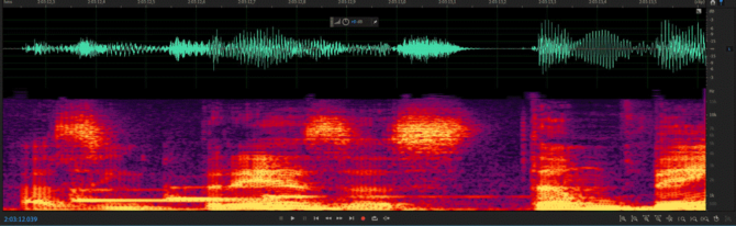 Editar audio. Espectrograma de Adobe Audition. Las rayas horizontales (amarillas) en la parte inferior y a la izquierda representan un tono de celular durante una conversación.