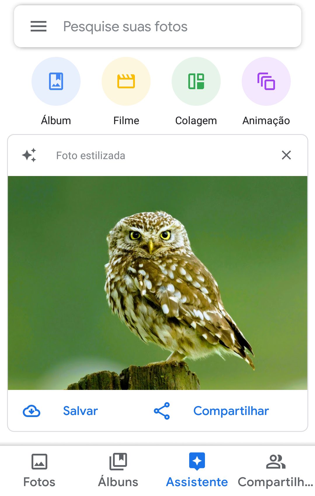 Google Fotos_imagem da função Assistente do Google Fotos