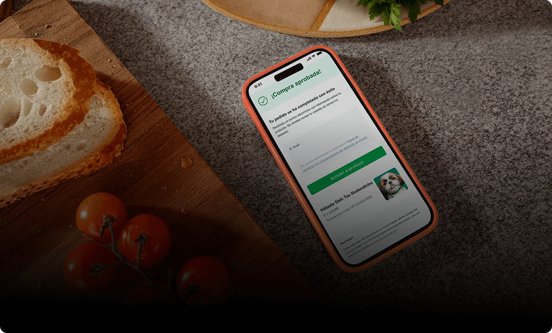 Foto de um smartphone exibindo uma tela de pagamento, com alimentos à esquerda, incluindo fatias de pão e tomates, e uma superfície de pedra ao fundo